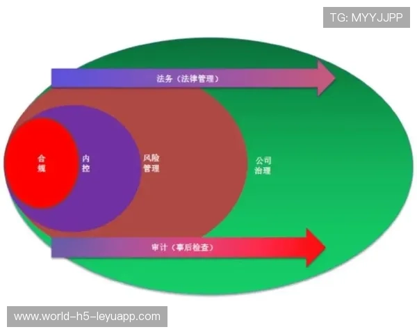 网球赛事多主办方协同机制推动赛事影响力倍增